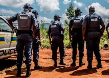 Nigerian govt  calls for investigation into death of Nigerian man in South African police operation